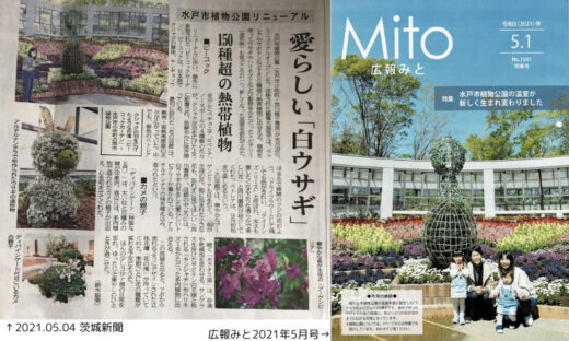 水戸植物公園リニューアル茨城新聞記事と広報みと表紙